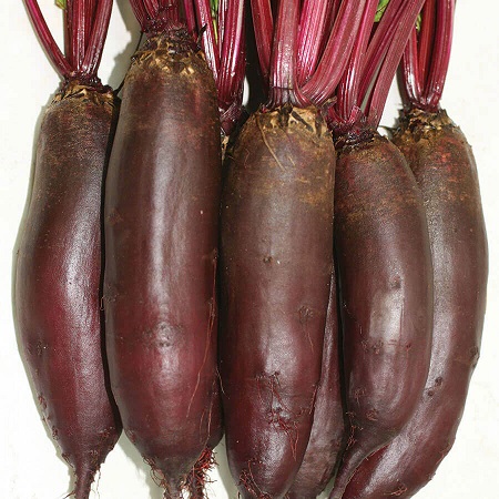 0312_Kestrel_Beets__96933