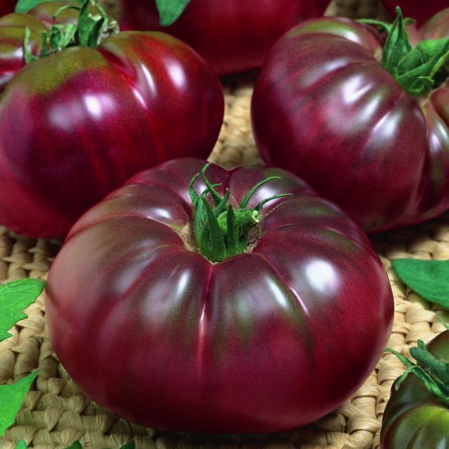 0312_Kestrel_Beets__96933