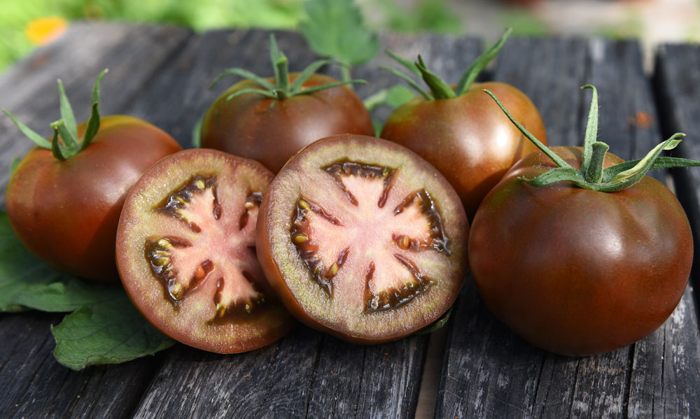 0312_Kestrel_Beets__96933